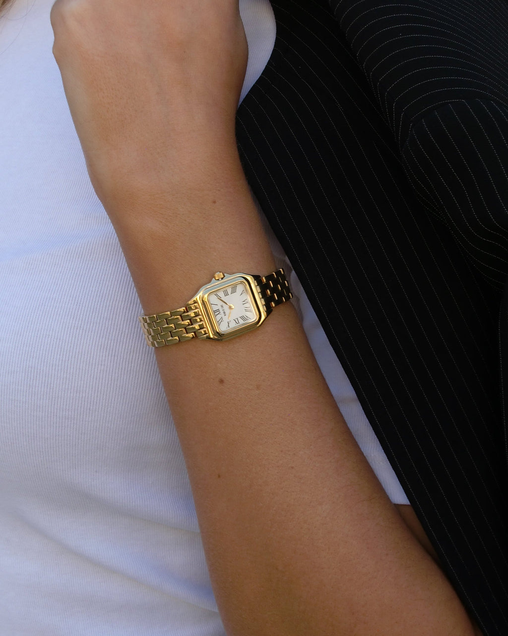 Cadre Watch