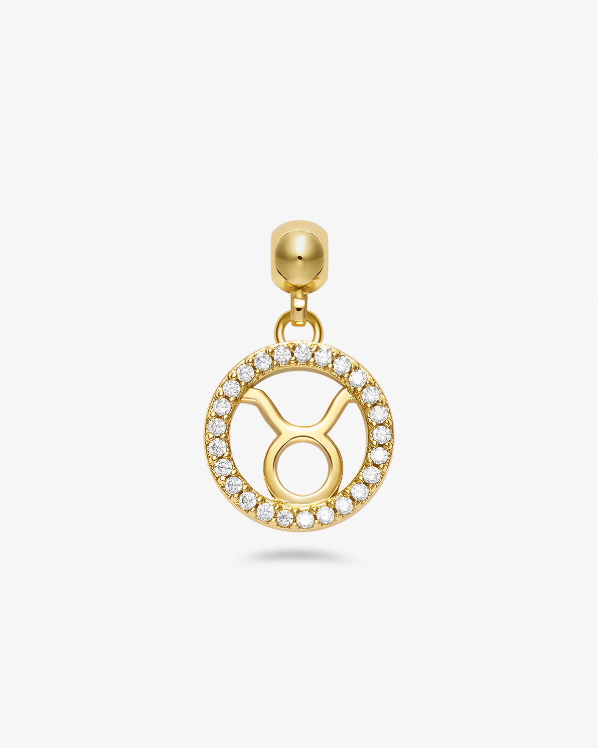Zodiac Charm