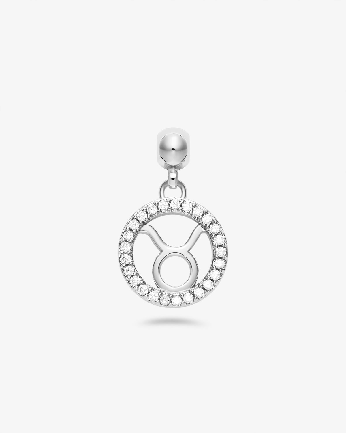 Zodiac Charm