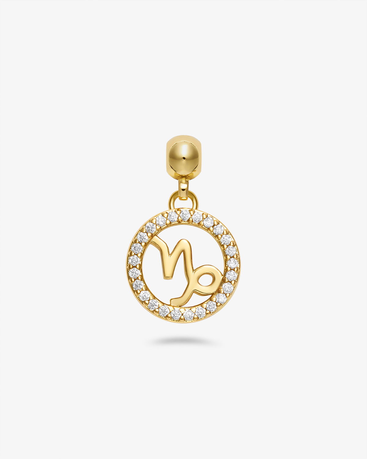 Zodiac Charm