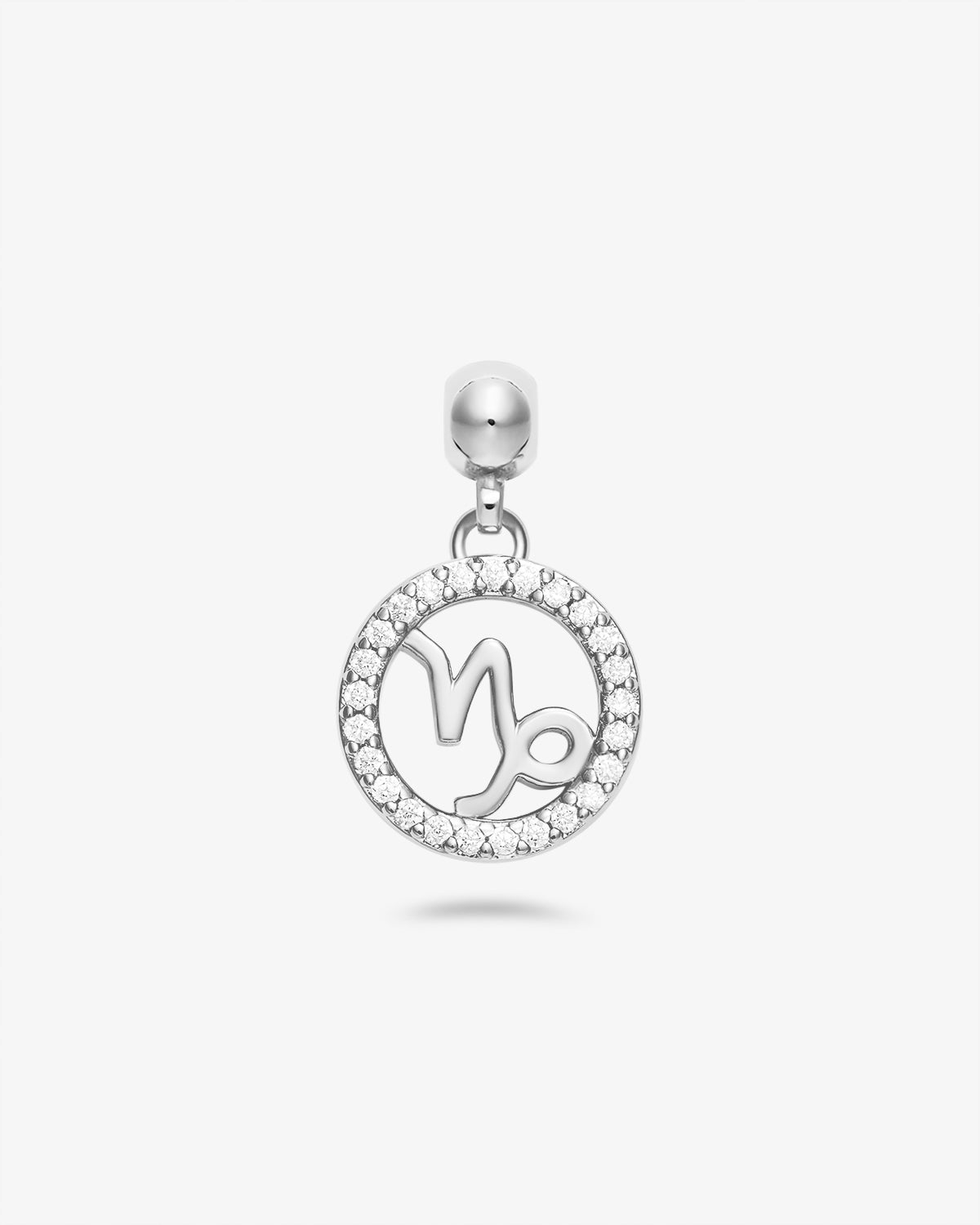 Zodiac Charm