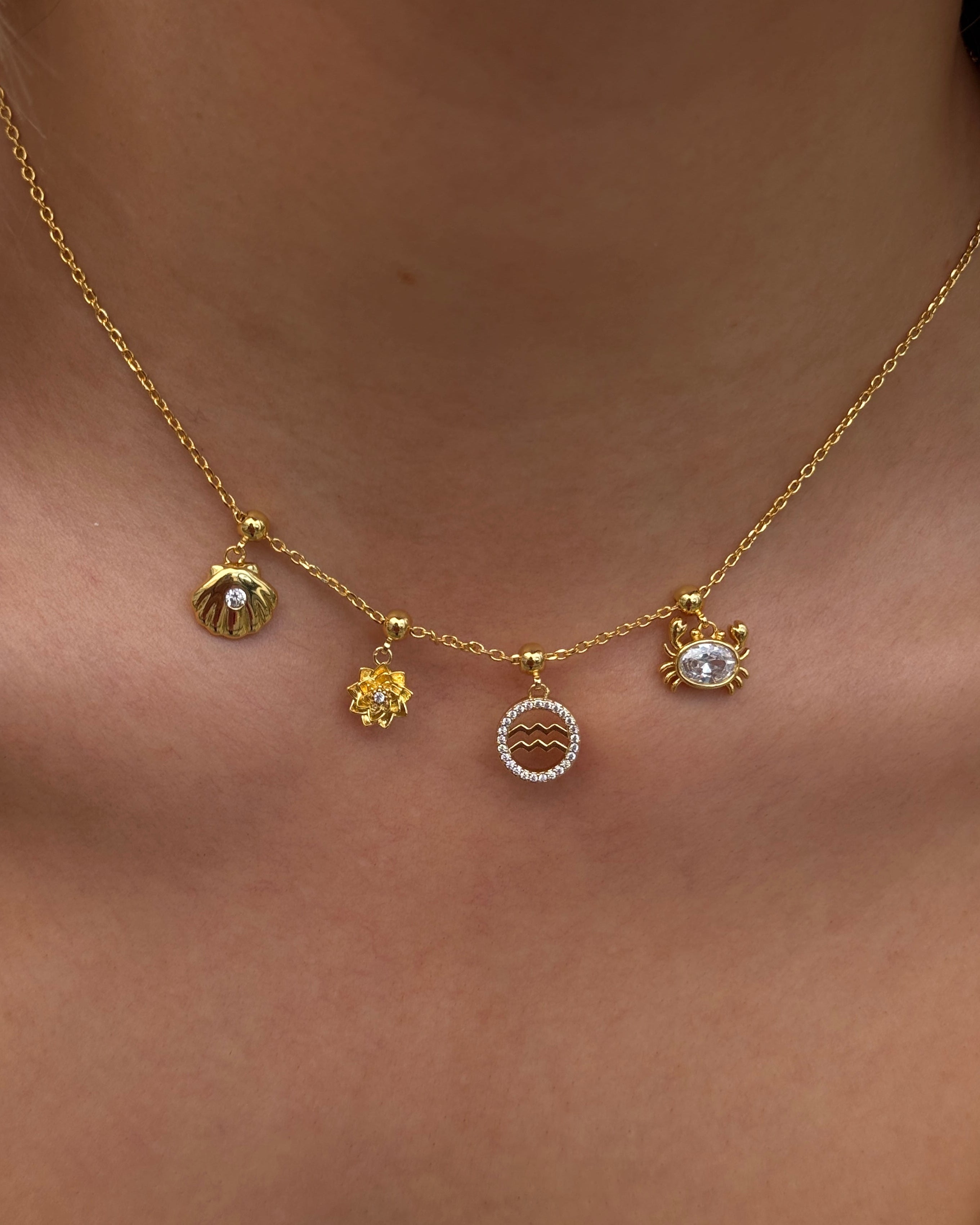 Zodiac Charm