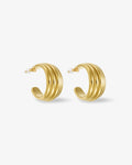 Ribbed Earrings